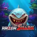Razor Shark