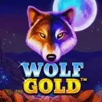 Wolf Gold